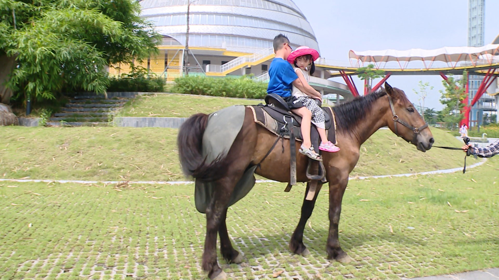 Cưỡi ngựa - trải nghiệm đáng nhớ tại Cung thiếu nhi Hà Nội