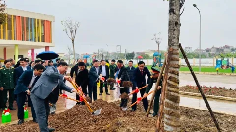 Khương Đình phát động Tết trồng cây vào sáng nay