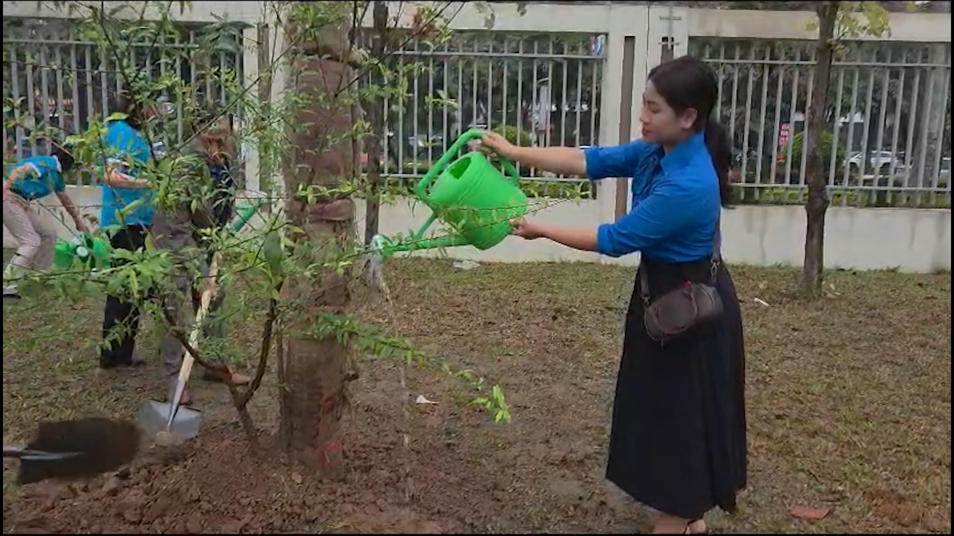 Phường Hà Đông trồng mới 2000 cây xanh trong năm mới