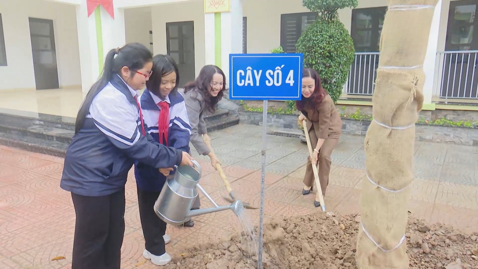 Các trường học ở Hà Nội phấn đấu trồng mới gần 15.000 cây xanh