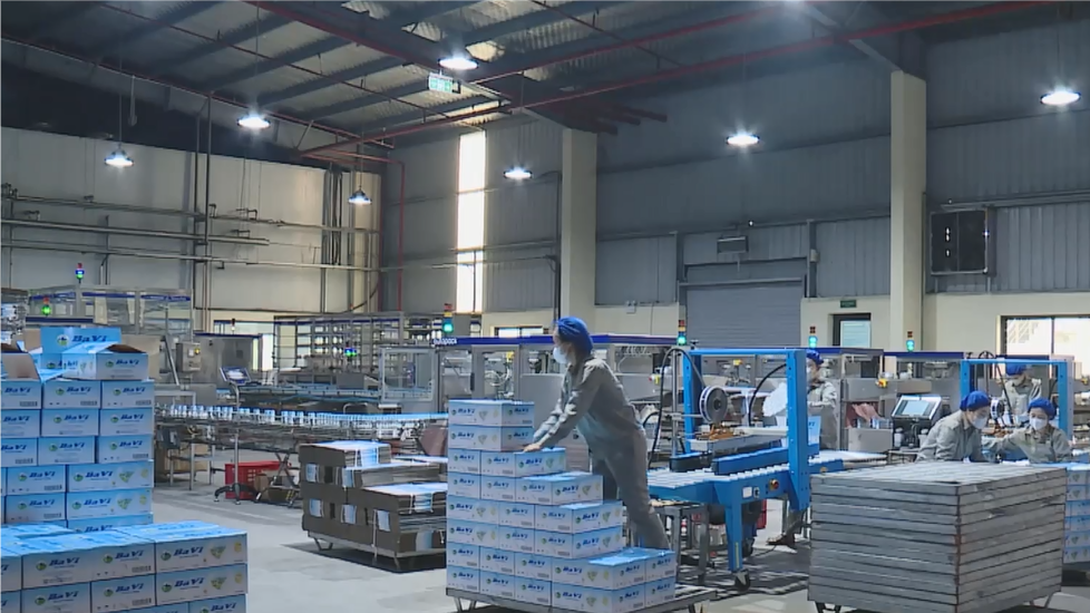 Sữa Ba Vì - khởi động rộn ràng, sẵn sàng bứt phá