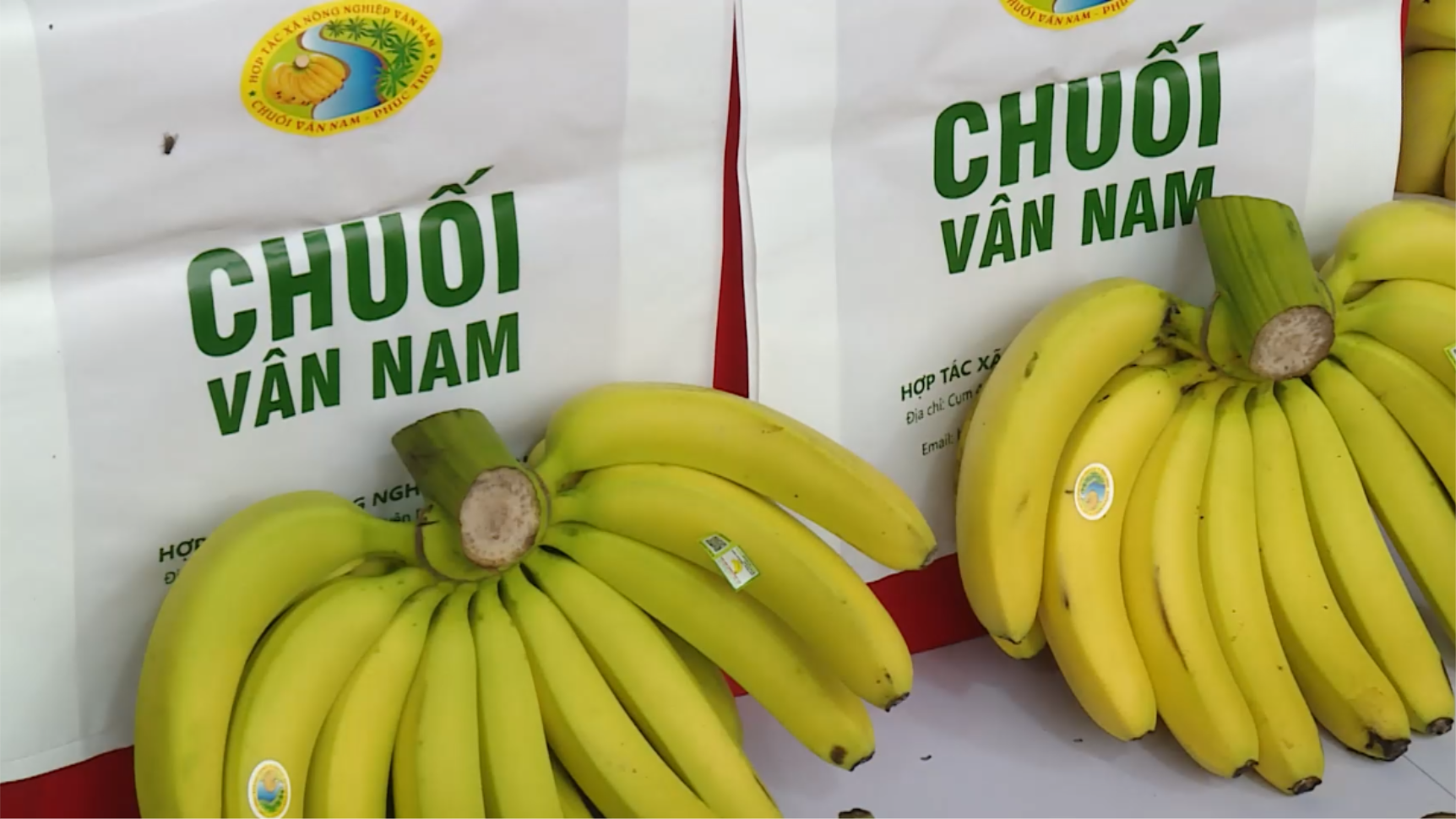Chuối Vân Nam - từ vườn nhà đến sản phẩm OCOP 4 sao | Mỗi xã một sản phẩm | 23/02/2026