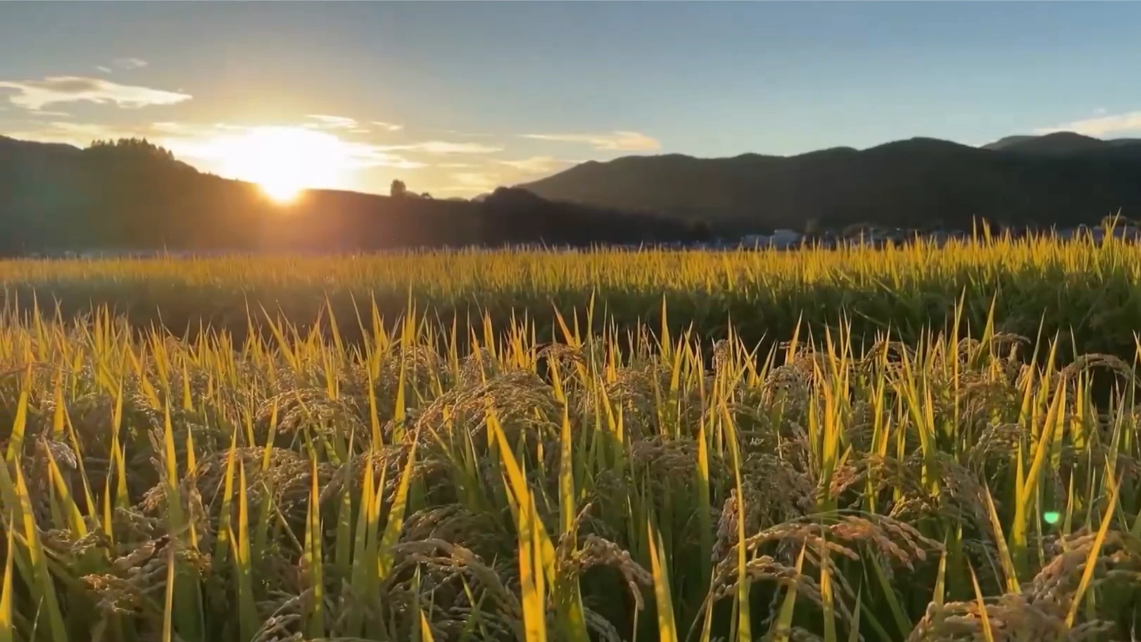 Thay đổi để xanh hơn | Chuyển đổi xanh | 14/02/2026