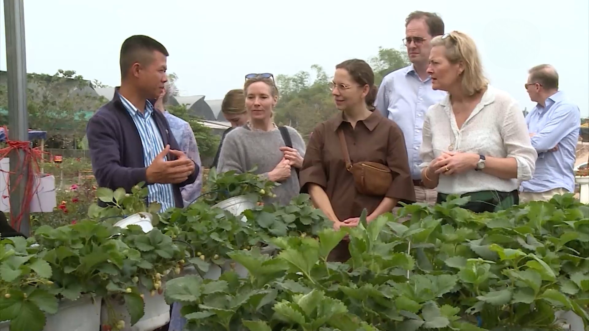 Nông nghiệp du lịch | Chuyển đổi xanh | 24/02/2026