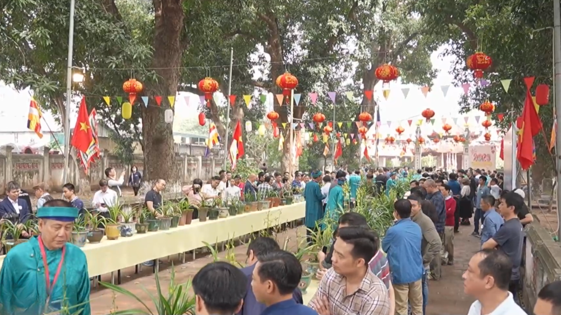 Lễ trưng bày và thi hoa Địa Lan xuân Bính Ngọ