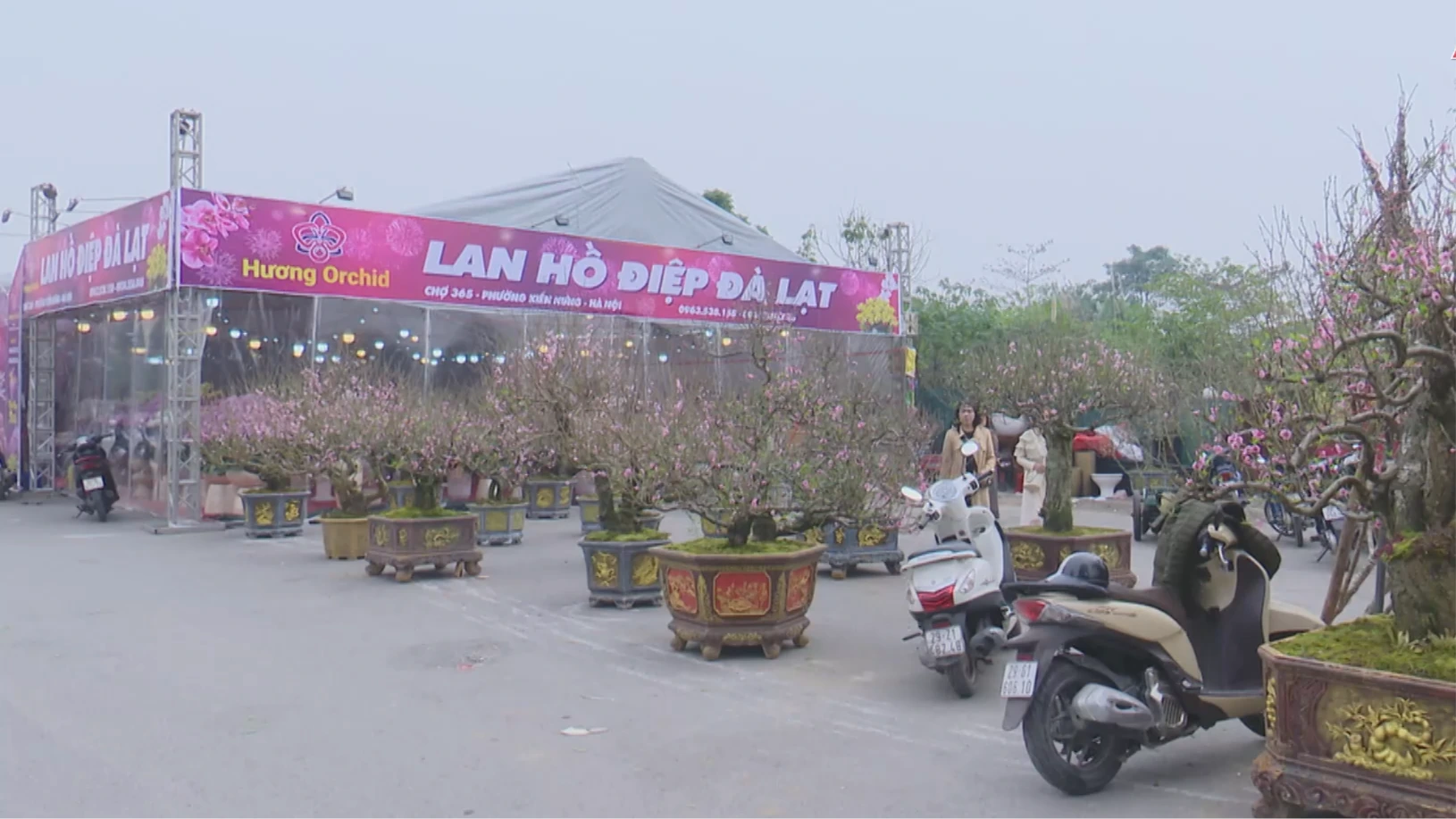 Bảo đảm trật tự đô thị, ATGT quanh các chợ hoa