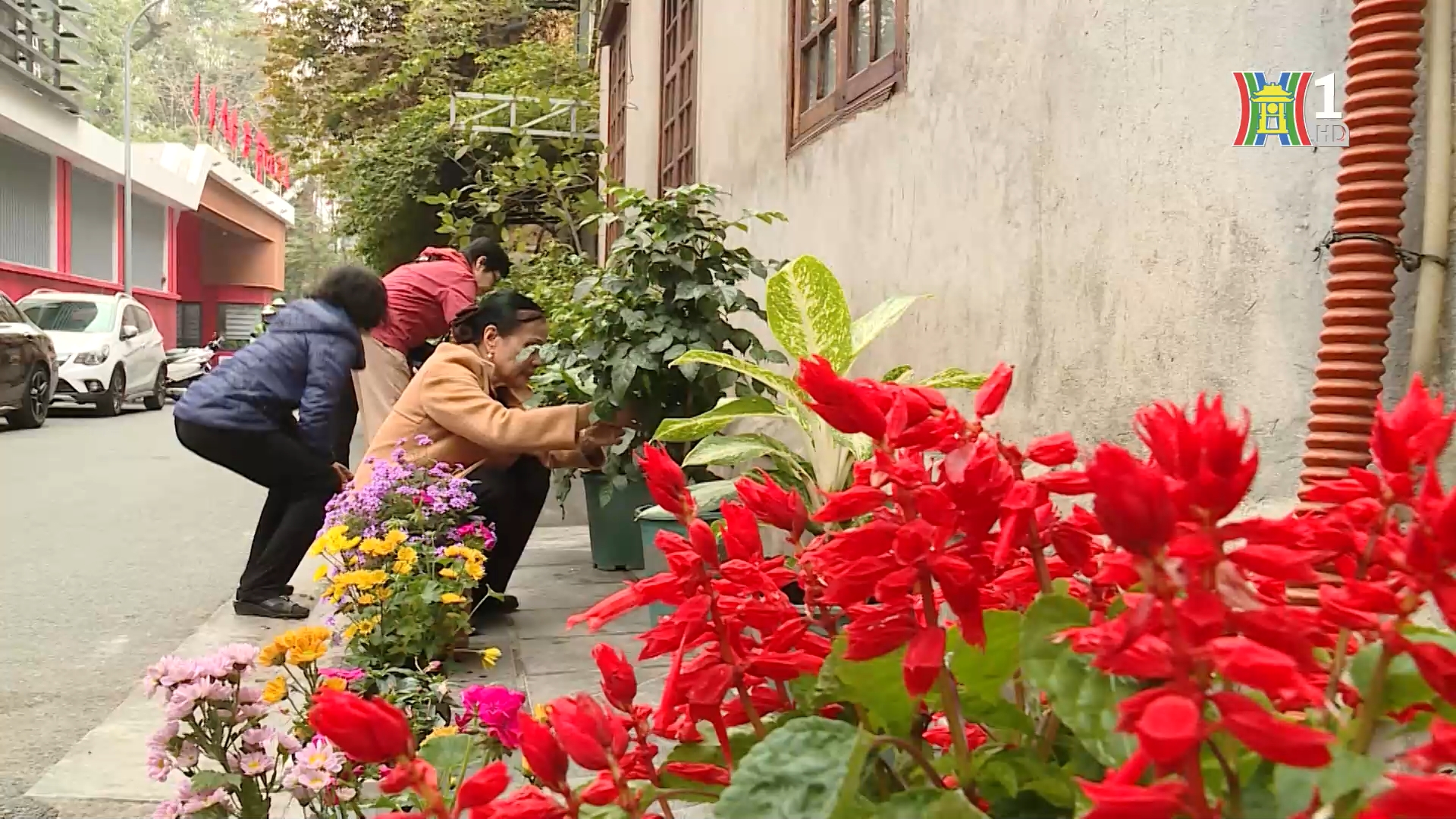 Phụ nữ Ngọc Lâm chung tay làm sạch phố phường | Người tốt quanh ta | 04/02/2026