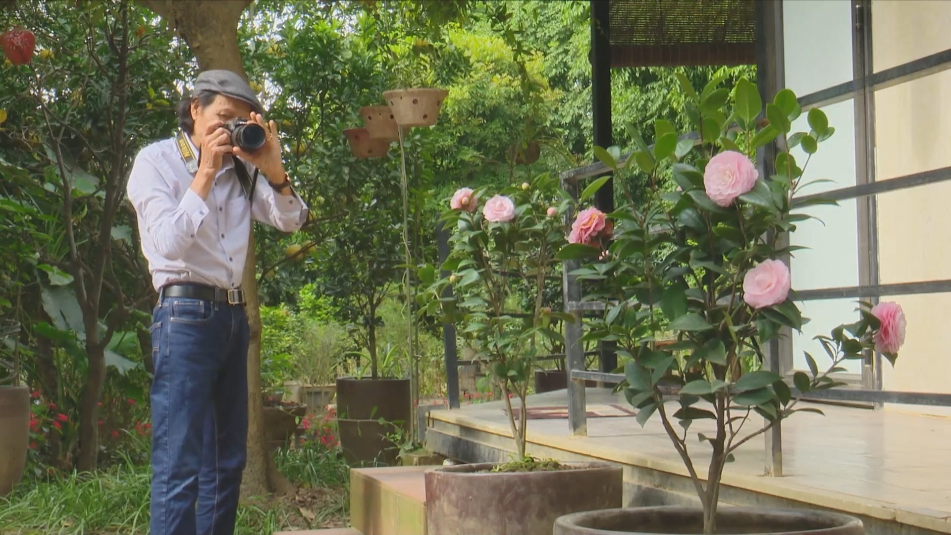 Niềm vui tuổi già từ việc chăm sóc vườn cây