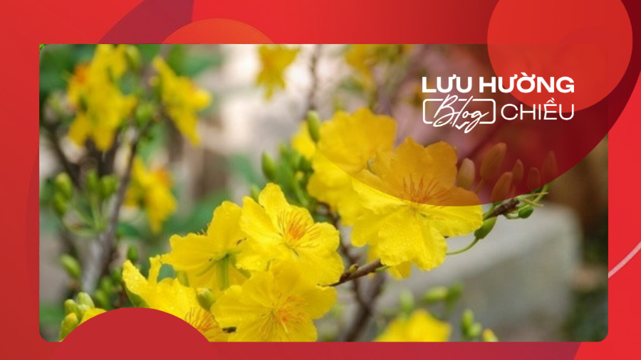 Chờ đón mùa xuân