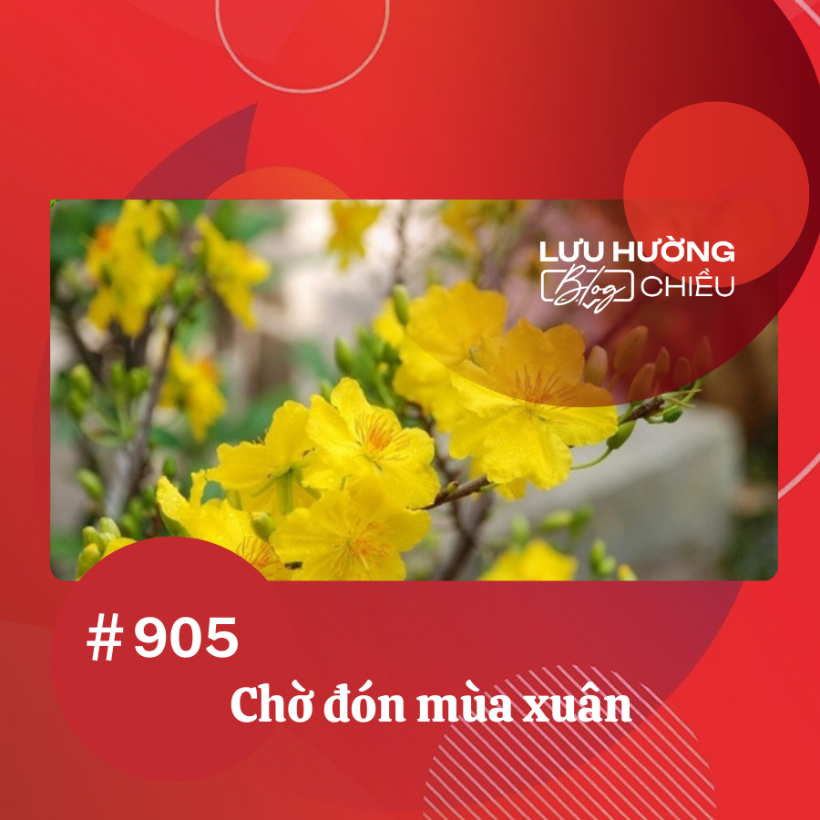 Chờ đón mùa xuân