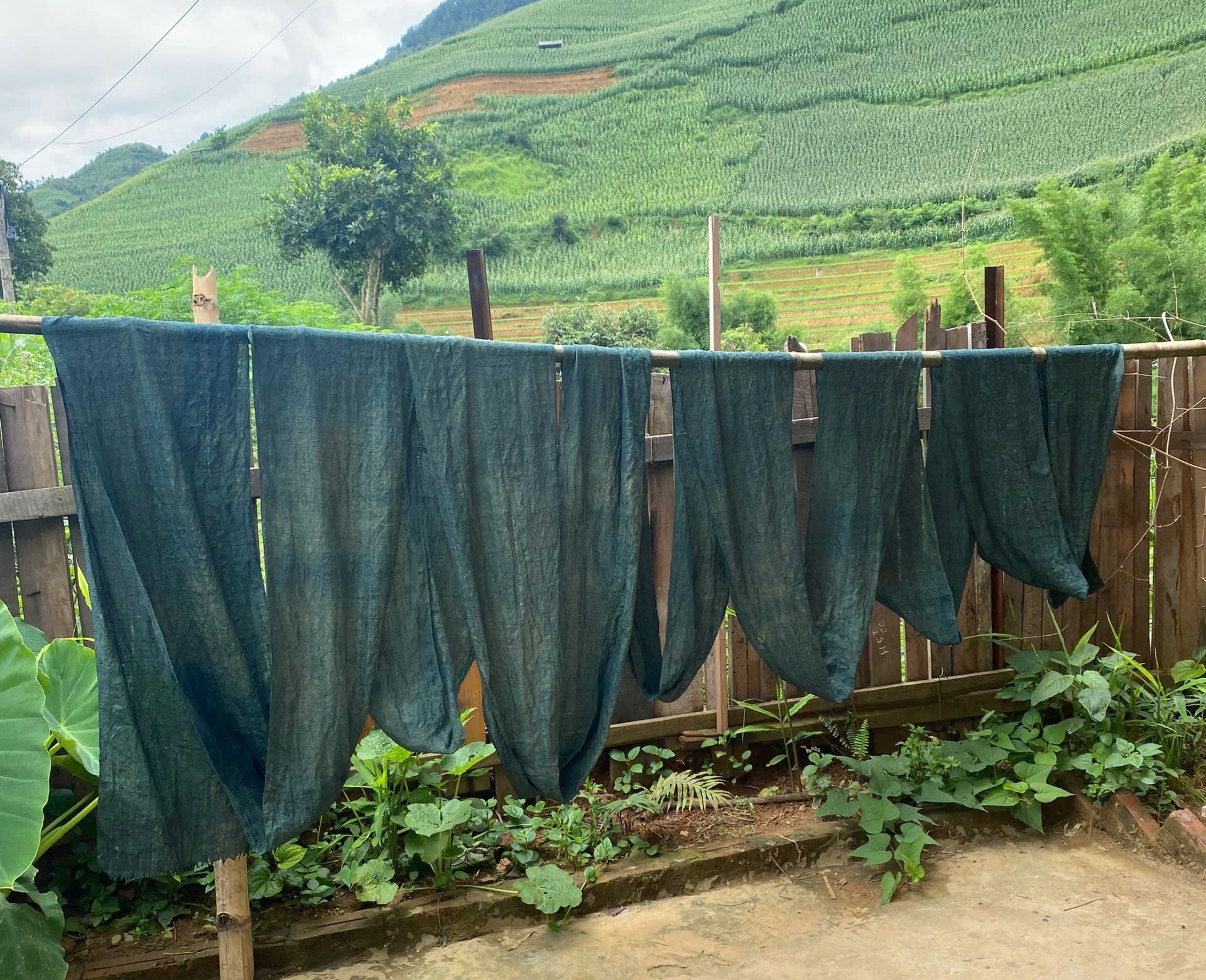 Đài PTTH Hà Nội