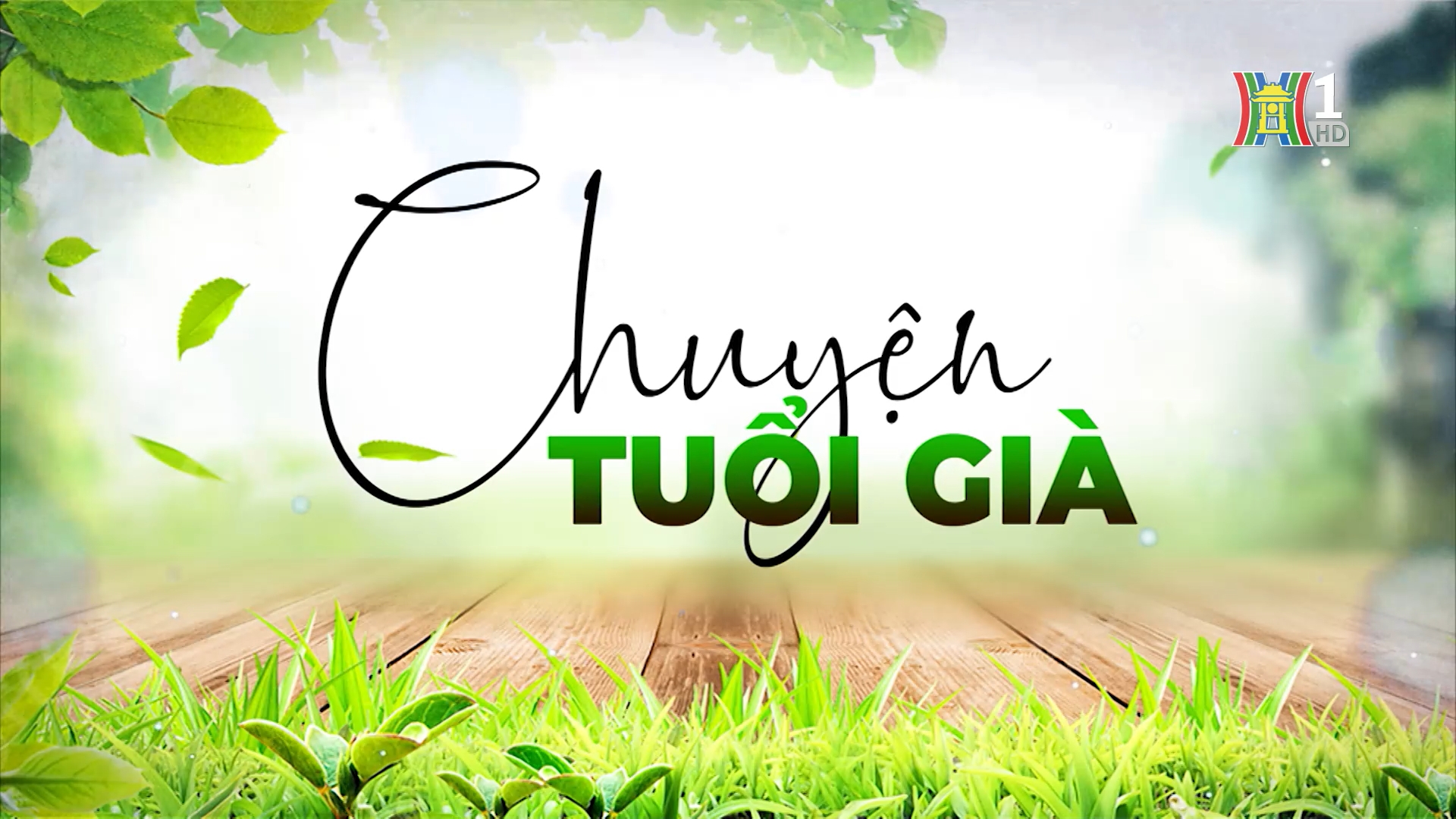 Tình bạn và những mối liên kết của người cao tuổi | Chuyện tuổi già | 08/02/2026