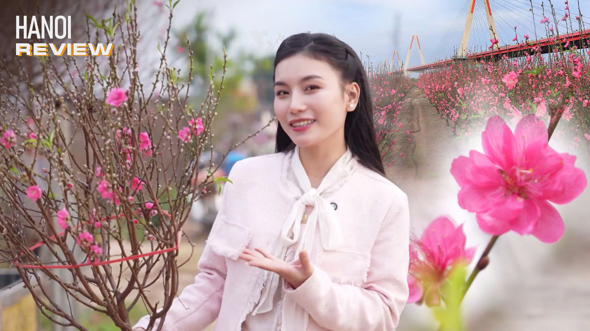 Về làng Nhật Tân chọn đào chơi Tết | HANOI Review | 07/02/2026
