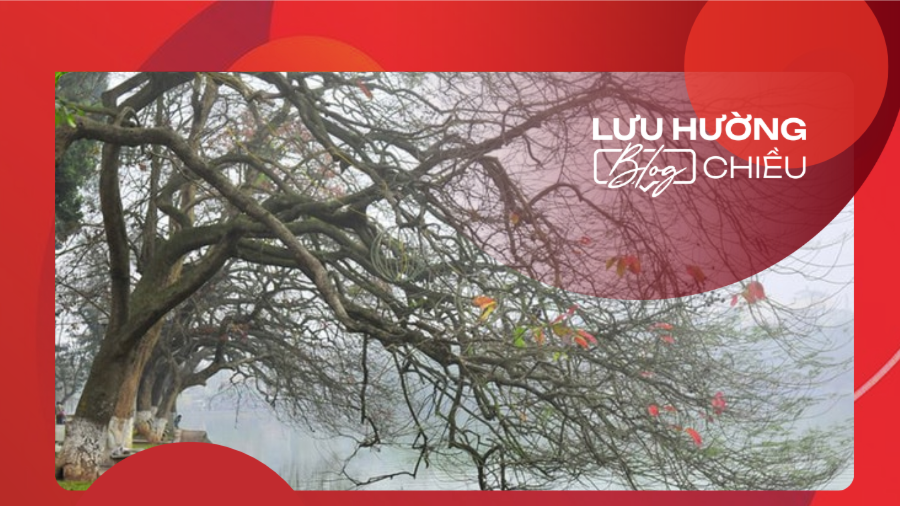 Bảng lảng mùa sương