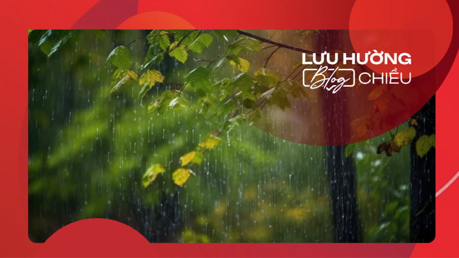 Mùa sao rơi trên lá