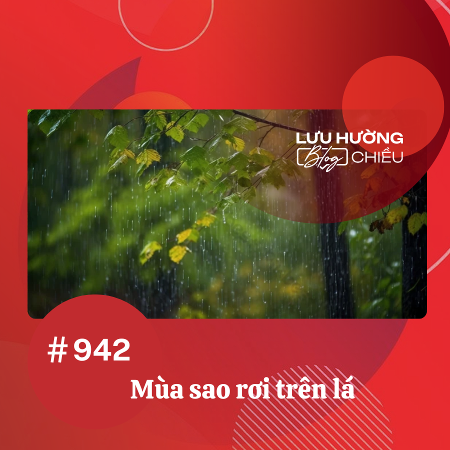Mùa sao rơi trên lá