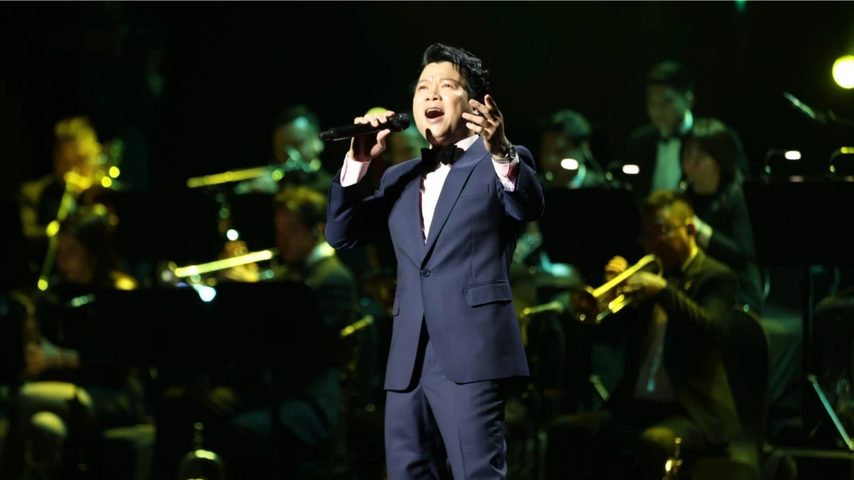 Dấu ấn live concert 'Mùa chim én bay'