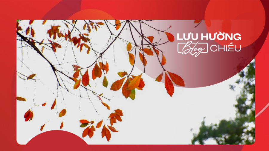 Tháng Ba gọi bàng thay lá