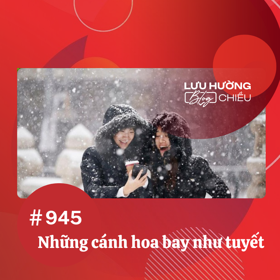 Những cánh hoa bay như tuyết