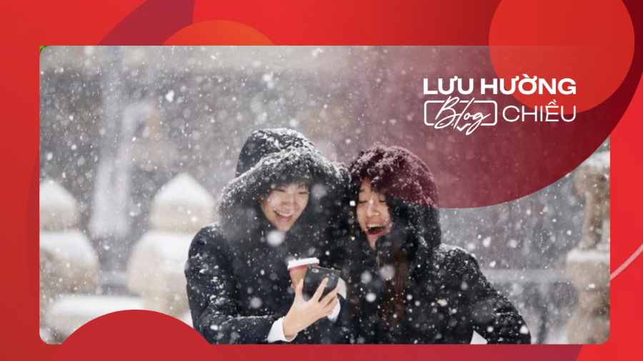 Những cánh hoa bay như tuyết