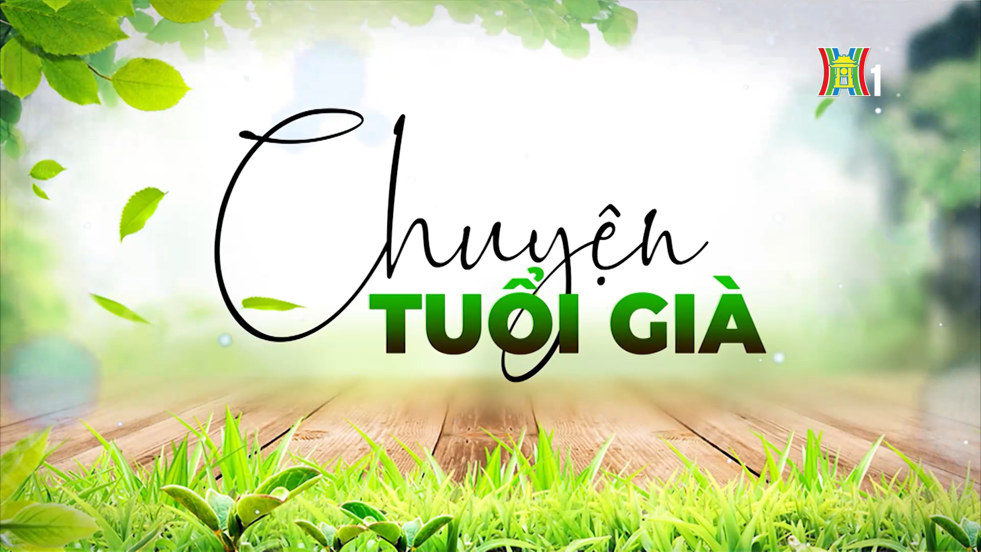 Người cao tuổi và thú vui trồng hoa cây cảnh | Chuyện tuổi già | 16/03/202