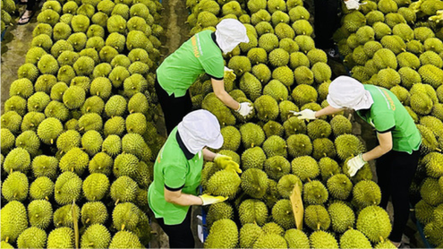 Siết chặt quản lý chất lượng hàng xuất khẩu sang Trung Quốc