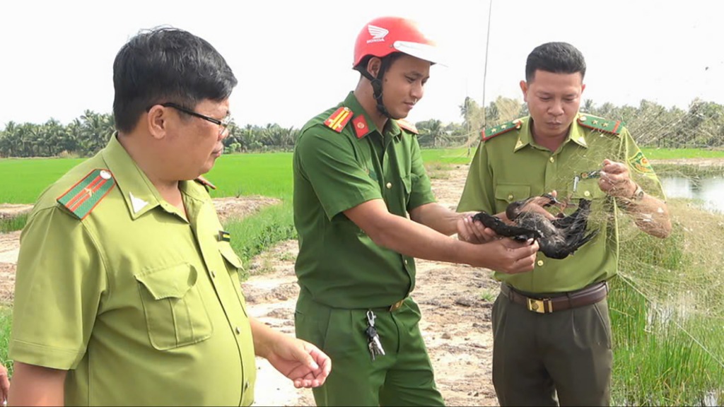 Xử lý gần 1.800 vụ án bảo vệ động vật hoang dã