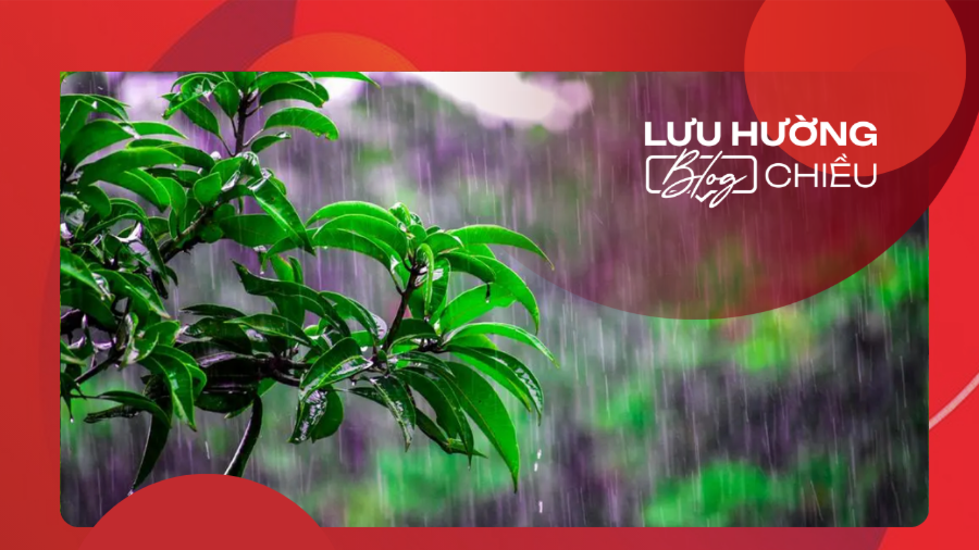 Mưa xuân trong miền nhớ