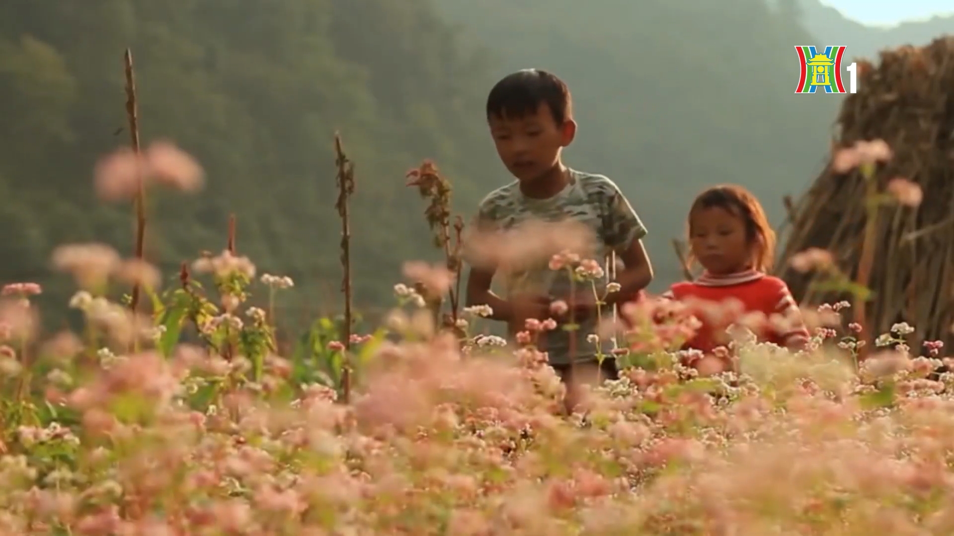 Vẻ đẹp cao nguyên đá Đồng Văn | Trăm miền hội tụ | 21/03/2026