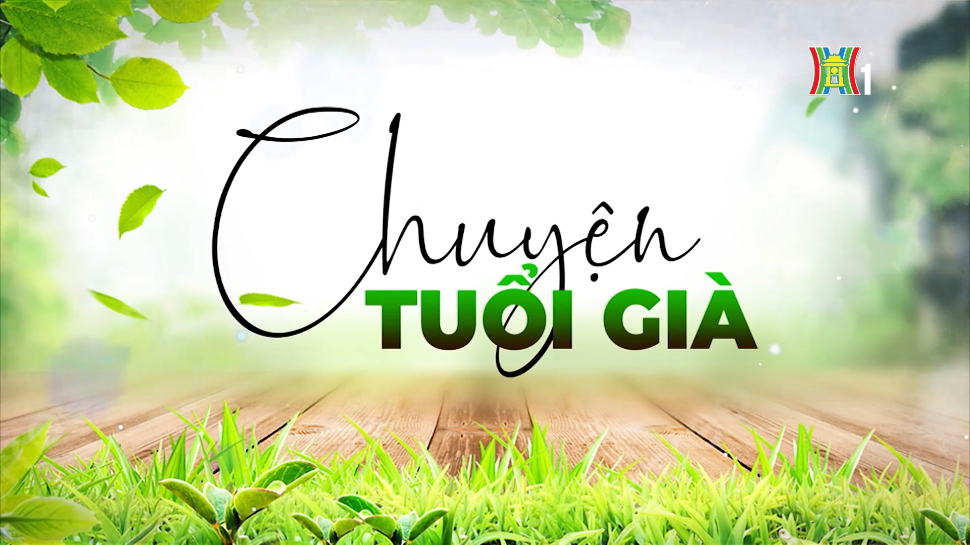 Đạp xe, bí quyết sống khỏe của người cao tuổi | Chuyện tuổi già | 22/03/2026