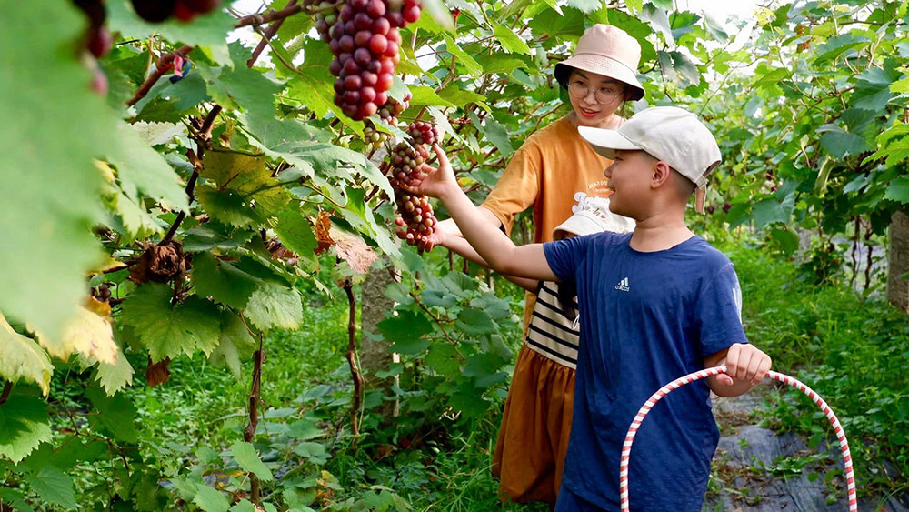 Đánh thức làng quê