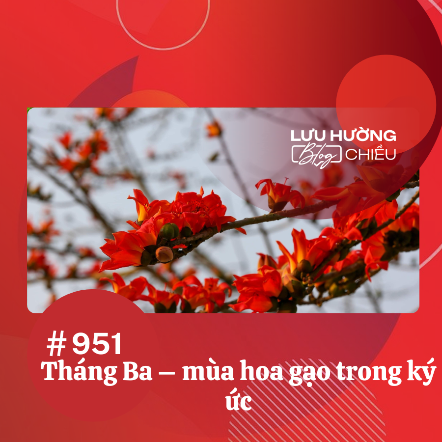 Tháng Ba – mùa hoa gạo trong ký ức