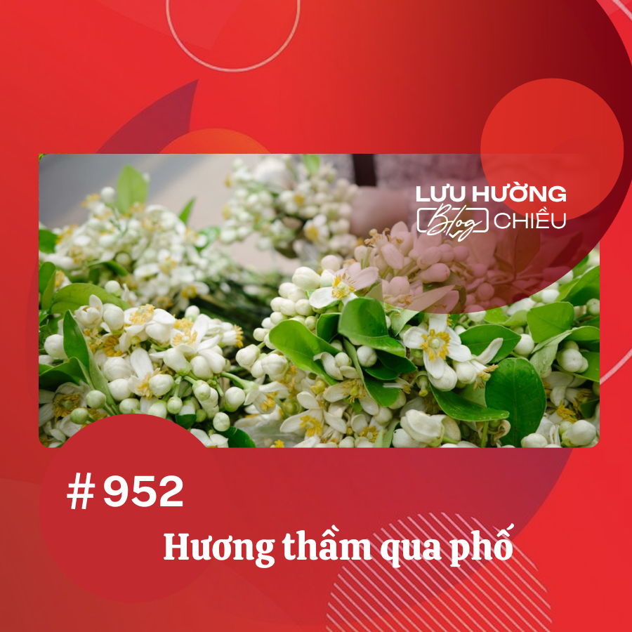 Hương thầm qua phố