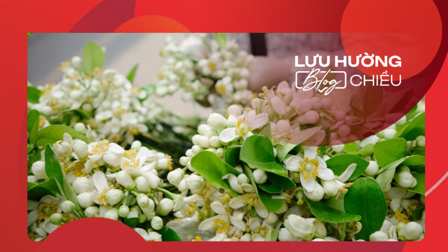 Hương thầm qua phố