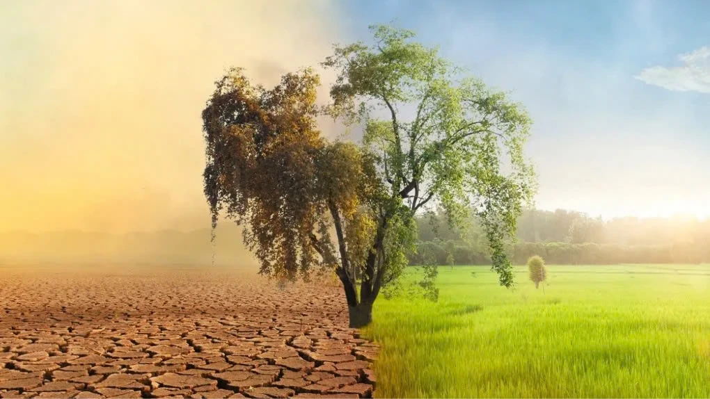 Cơ quan khí tượng LHQ xác nhận thập kỷ nóng nhất