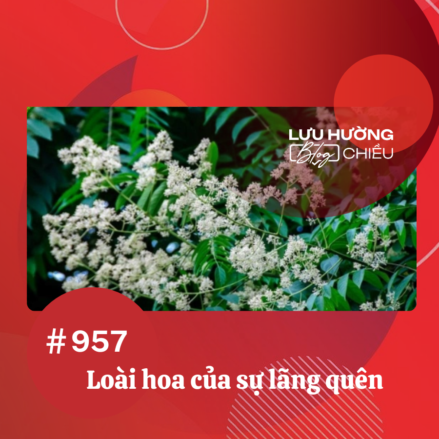 Loài hoa của sự lãng quên