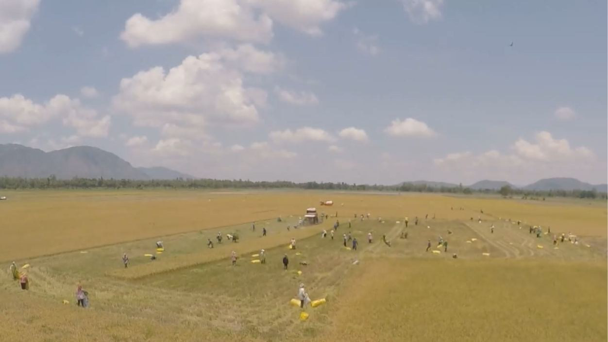 Nông nghiệp: Điểm tựa của bài toán tăng trưởng kinh tế