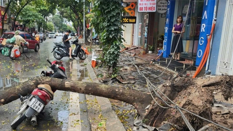Cắt tỉa cây xanh, đảm bảo an toàn giao thông