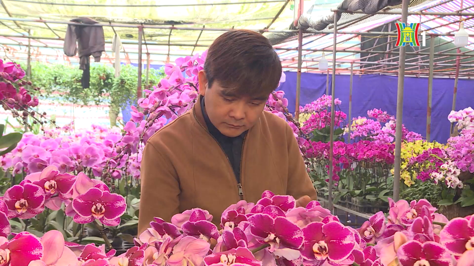 Chàng trai khiếm thị làm giàu từ vườn lan | Người tốt quanh ta | 20/02/2026