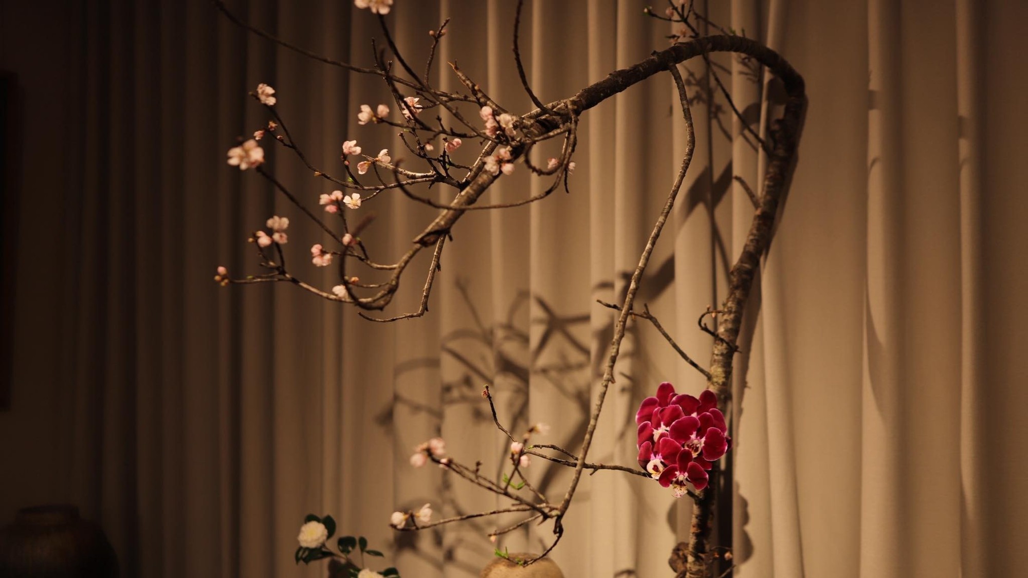 Triển lãm “Gió Đông” - Nghệ thuật hoa đạo Nhật Bản tại Hà Nội