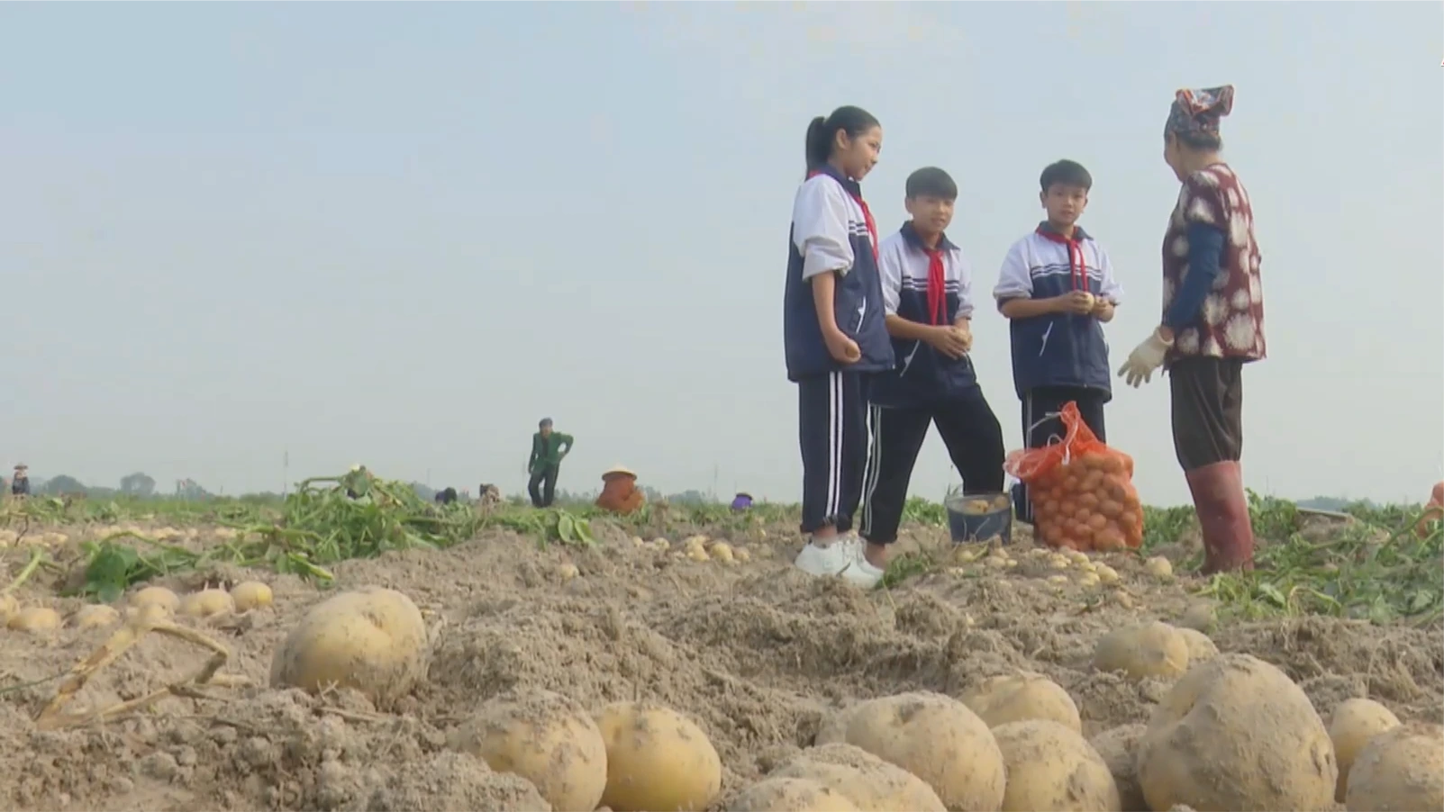 Du lịch xanh từ những cánh đồng quê