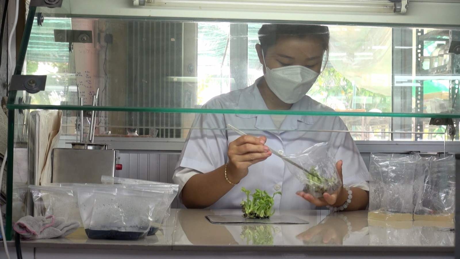 Việt Nam sẽ thí điểm chính sách 'doanh nghiệp một người' 