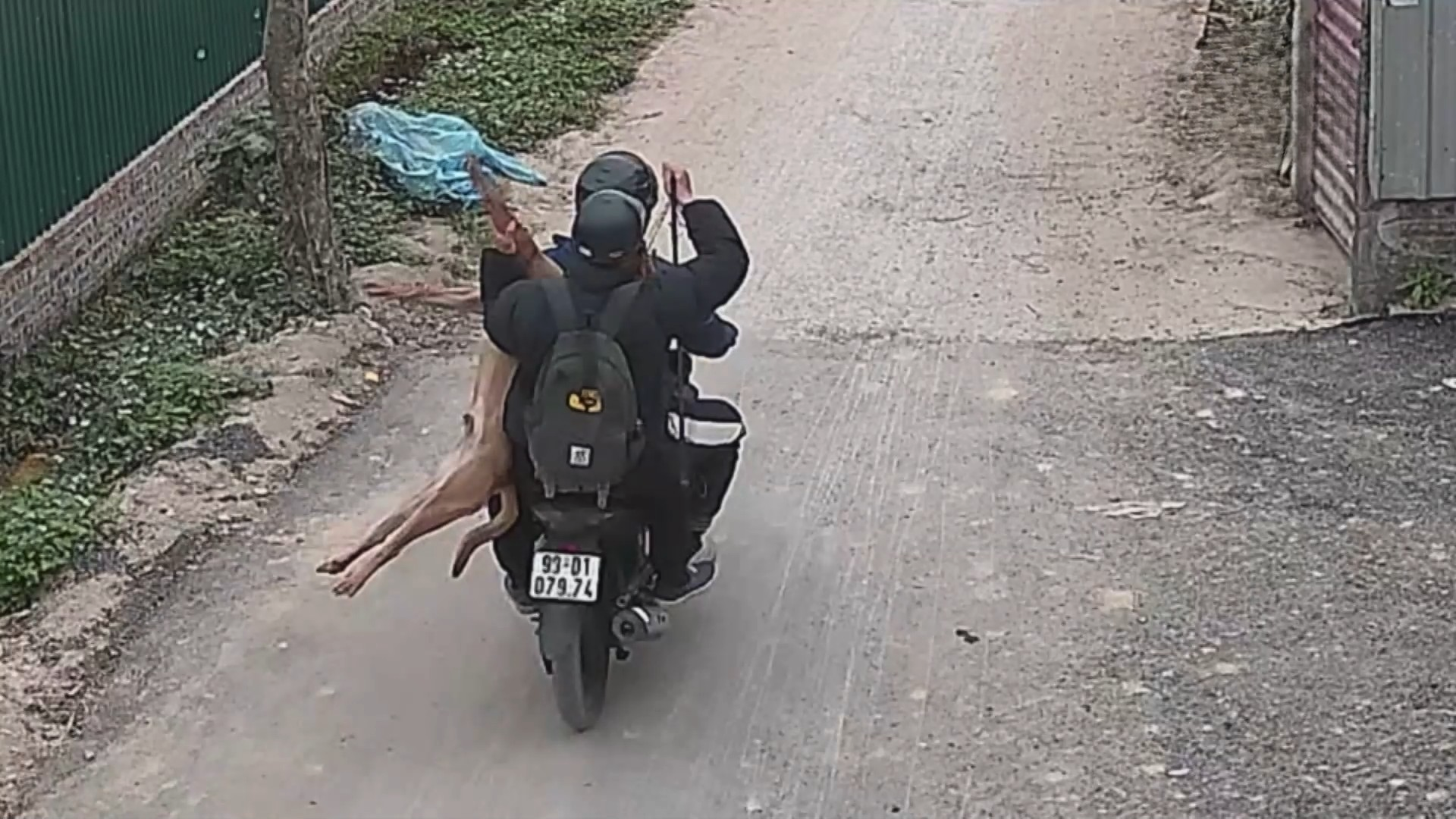 Liên tiếp phát hiện các đối tượng trộm cắp chó, mèo