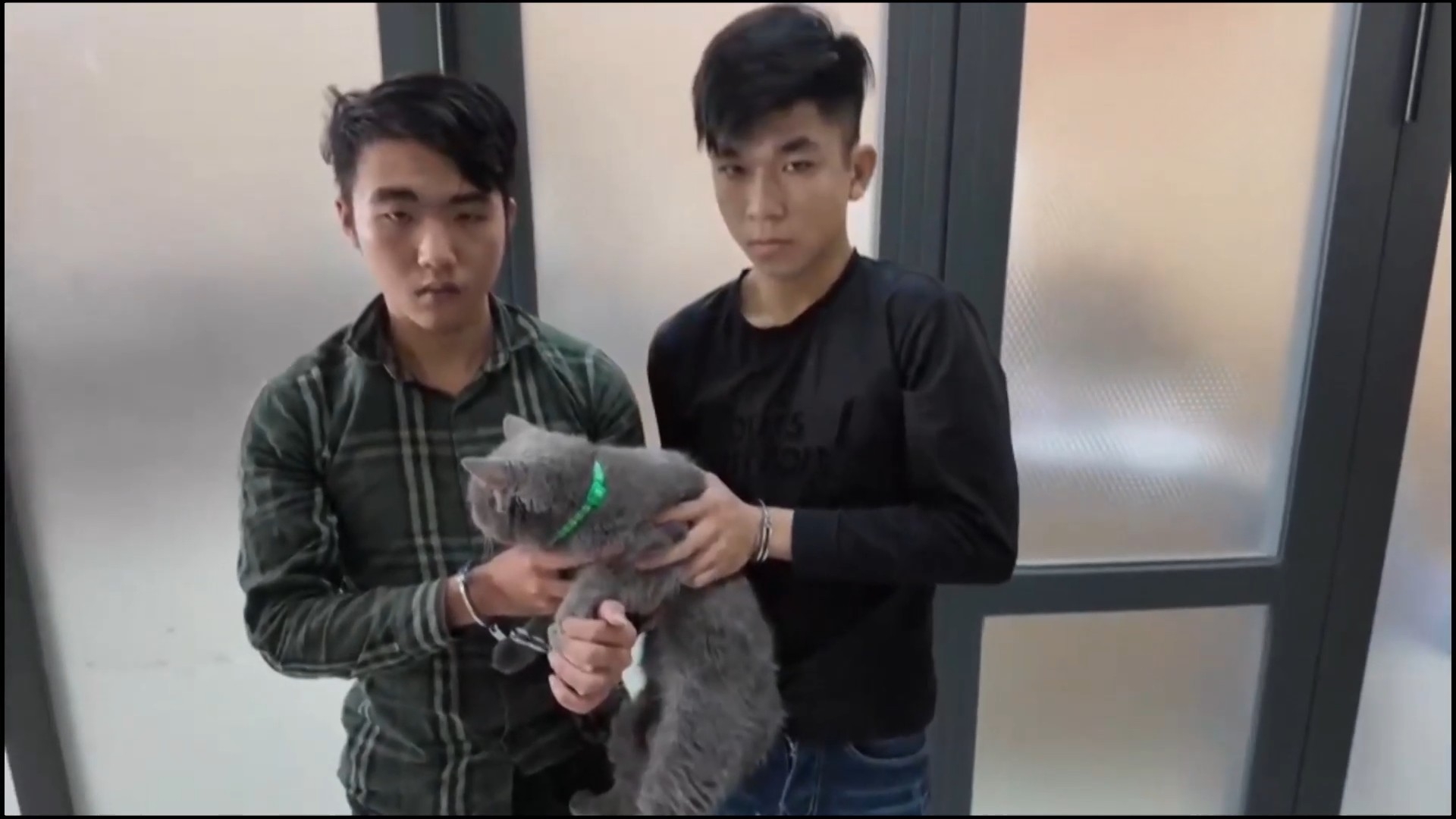 TP.HCM: Truy bắt nhiều đối tượng trộm cắp vật nuôi