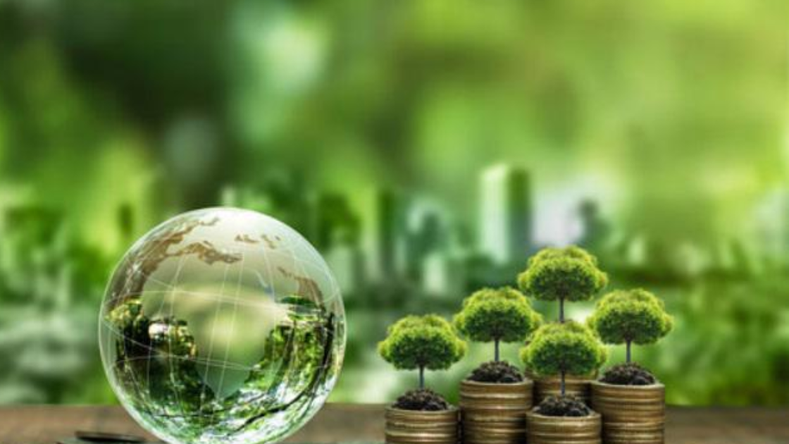 Miễn thuế TNCN từ chuyển nhượng lần đầu tín chỉ carbon và trái phiếu xanh