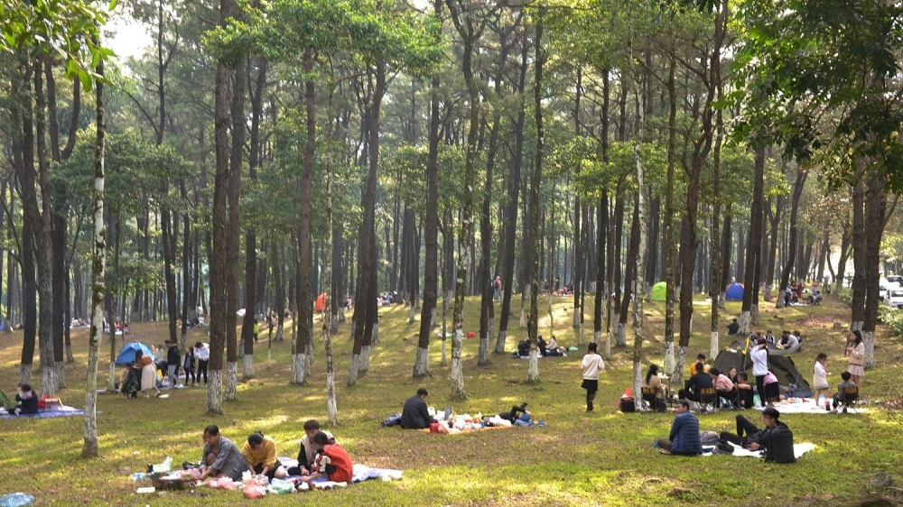 Đề xuất chuyển giao Vườn Quốc gia Ba Vì về TP Hà Nội quản lý