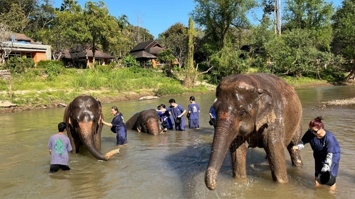 Số lượng du khách đến Chiang Mai, Thái Lan sụt giảm mạnh