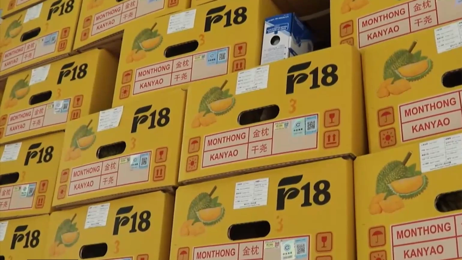 Lô sầu riêng truy xuất nguồn gốc đầu tiên được thông quan