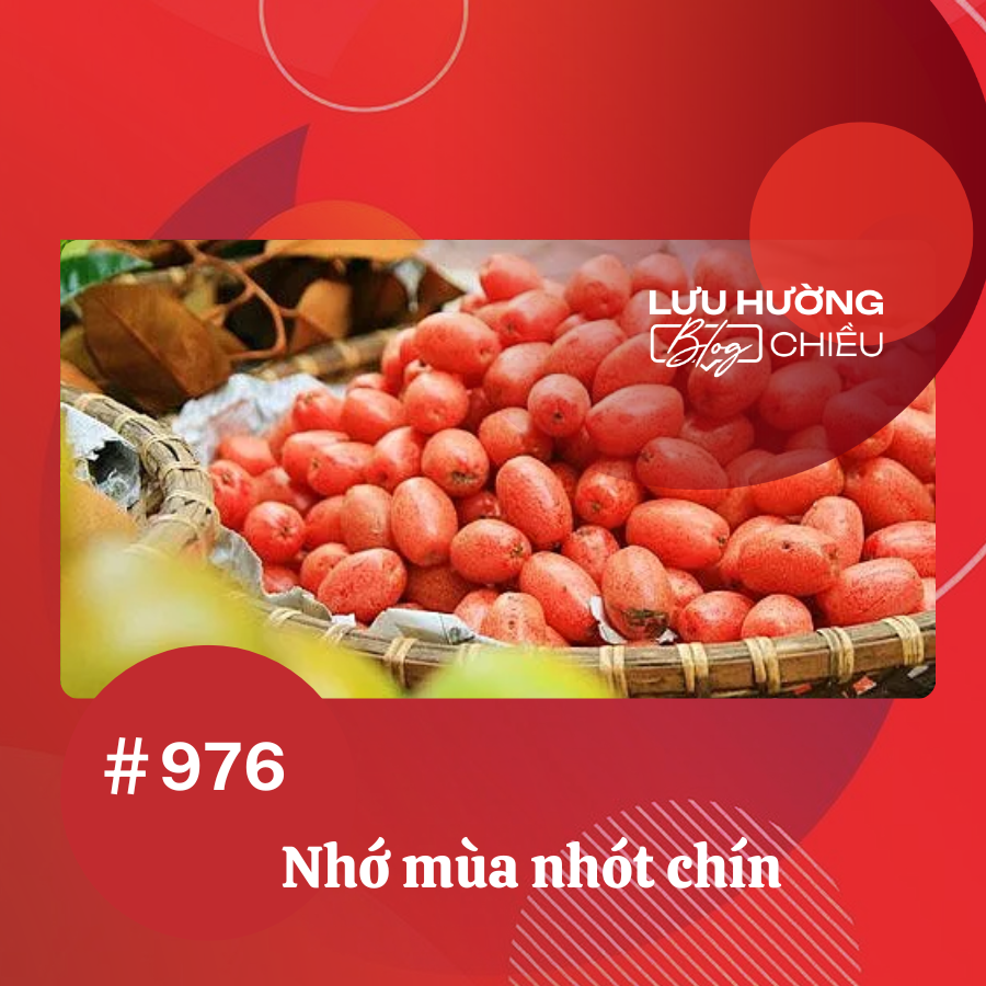 Nhớ mùa nhót chín