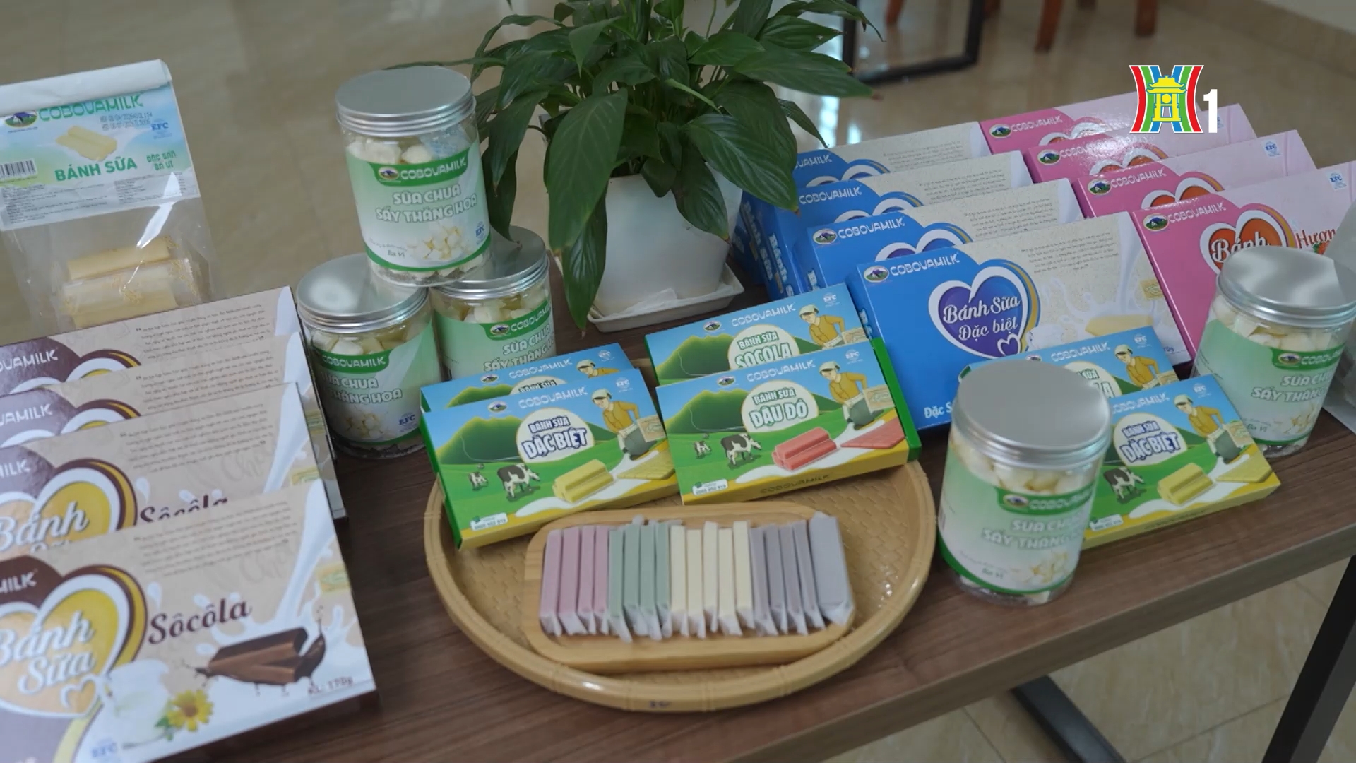 Đột phá từ sữa | Mỗi xã một sản phẩm |14/04/2026